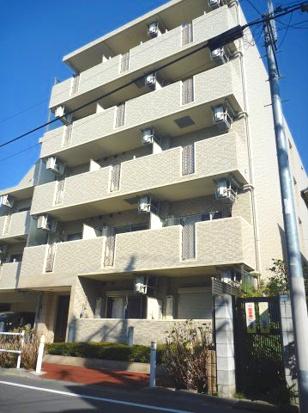 セジョリ志村坂上