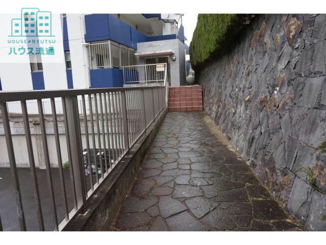 フィールドY