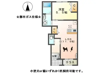 リブ・ルーラル III(1LDK/1階)の間取り写真