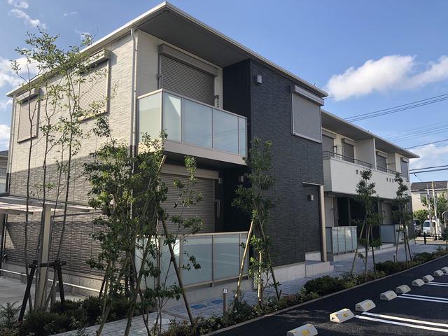 SHAMAISON アフィーノIII