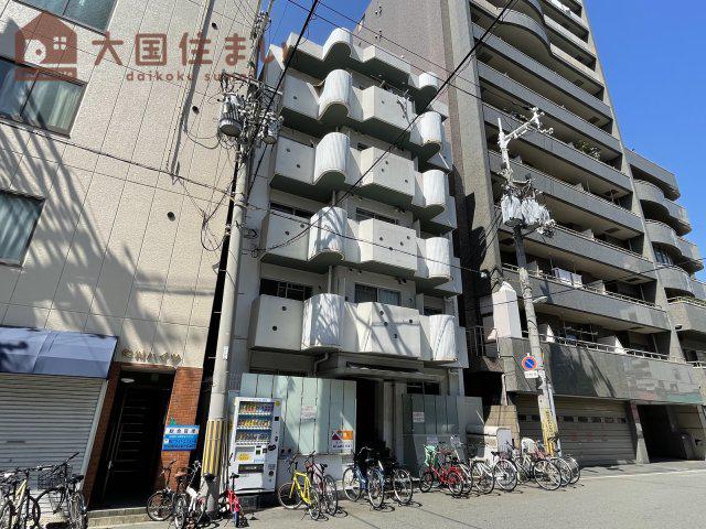コーニッシュ桜川