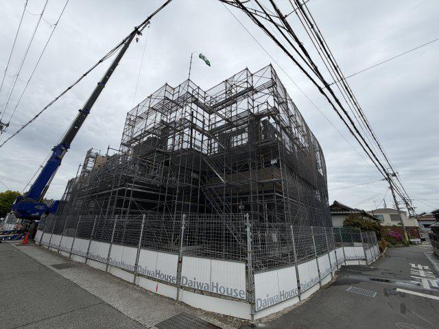 ステラフォーリア