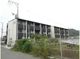 FUJIKI CORPO 1L