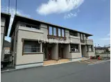 サニーコッティB