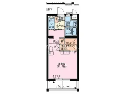 ラファエラ(ワンルーム/1階)の間取り写真