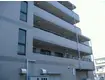 コートM3(2LDK/4階)