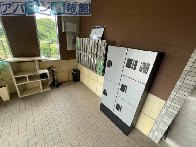 プレアデス