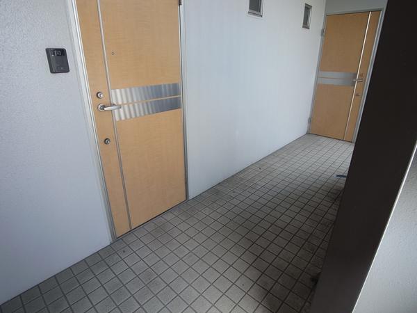 COMPACT菊池
