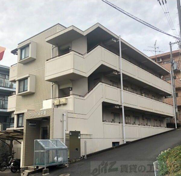 コリーヌ千里
