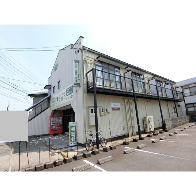 エーデルワイス