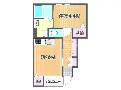 アムール雅(1DK/1階)の間取り写真