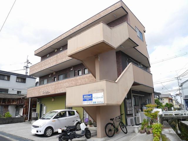 SERENO IWASAKI