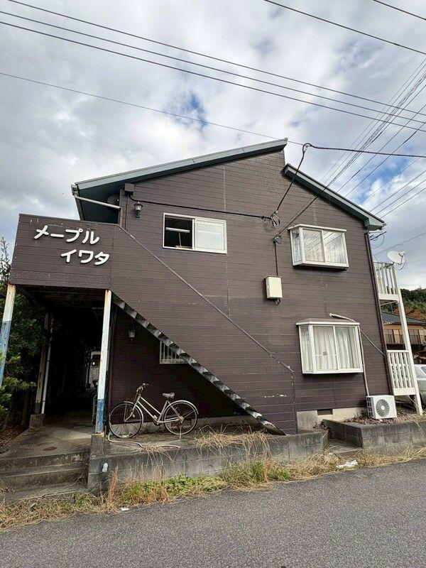 メープルイワタ