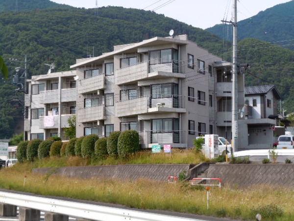 新田ツインズ(3K/2階)
