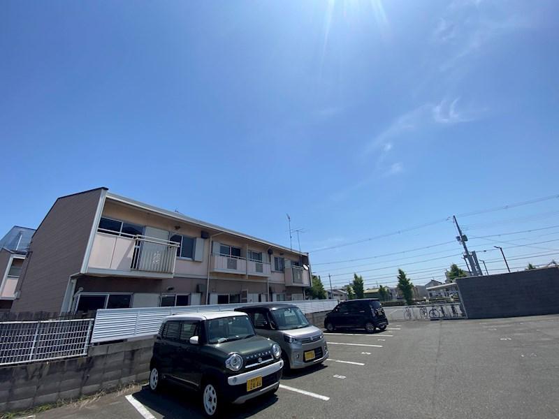 タウニィ優生
