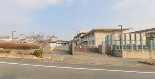 バーベナ光台D