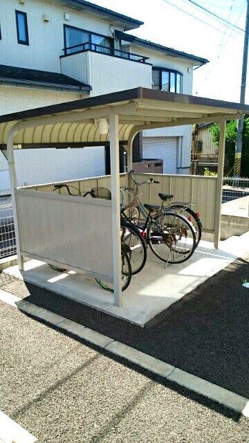 アシェイドサクラ