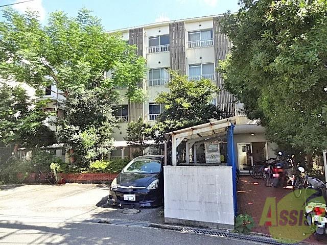 CEREZO井口堂