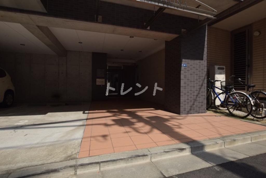 リブリ・フィオナ