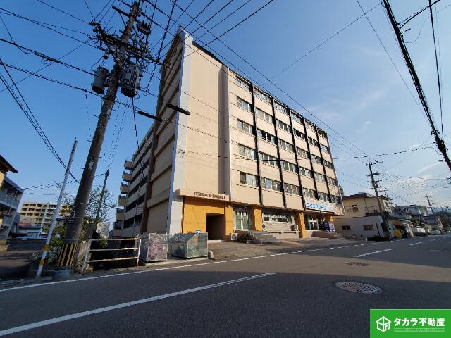 テラス石垣