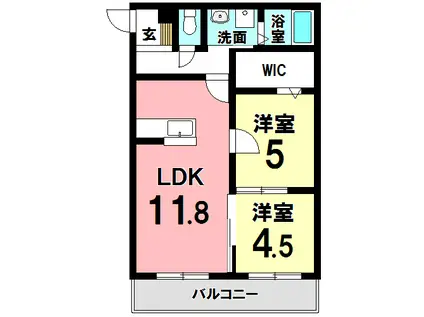 アイビス泉(2LDK/1階)の間取り写真