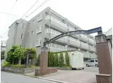 フラット日吉コートB