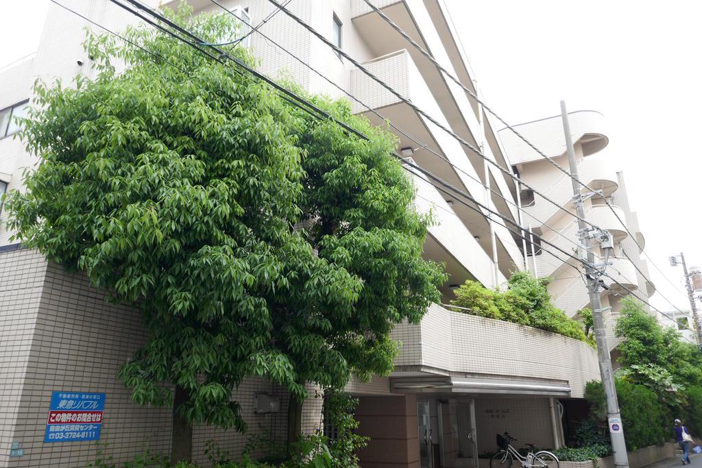 高雅ホームズ学芸大(2LDK/3階)
