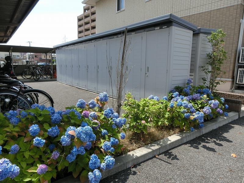 セイチ上近江