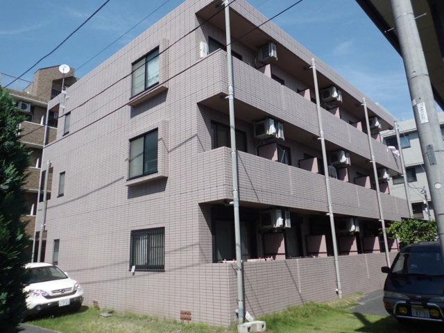 ファレノプシスII