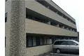 アンプルール フェール ライム