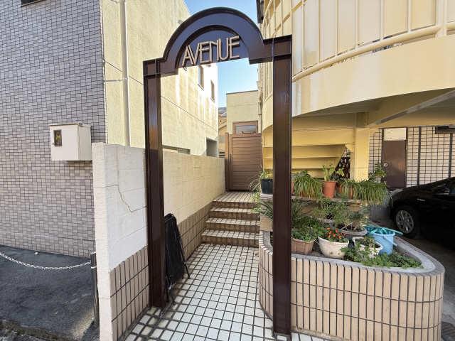 アベニュー