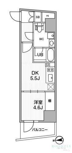 ALTERNA中野(1DK/8階)の間取り写真