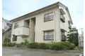 サンフラワーB