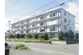 エーデルワイス