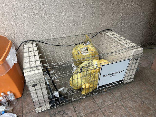 ラ カーサ ミラン
