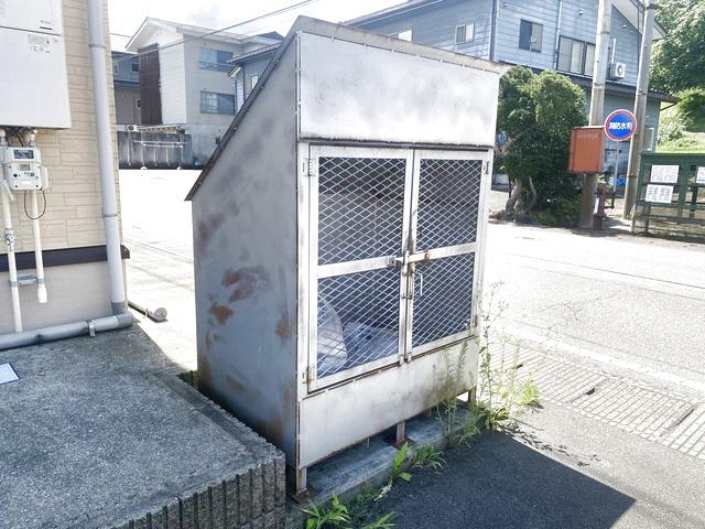 サンフラワー