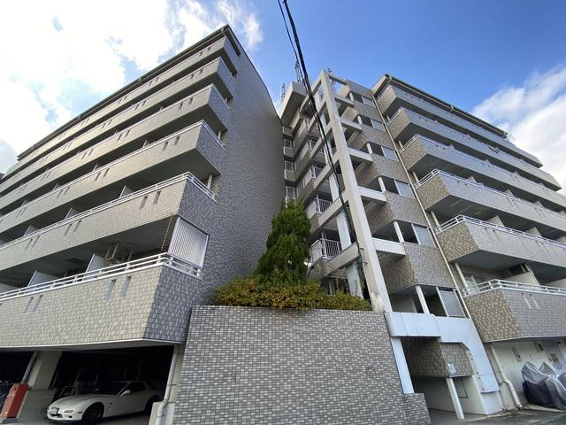 GRAN PINO 春日