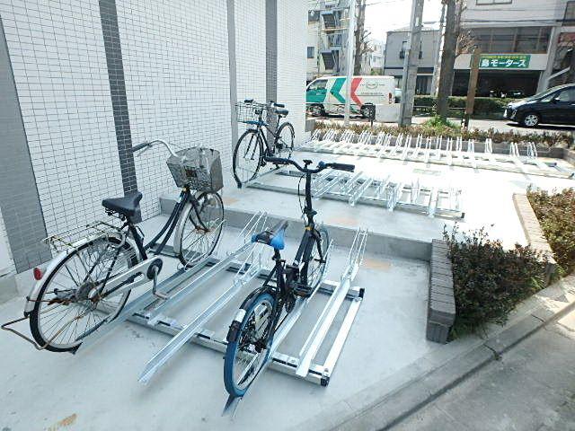 ライムグリーン