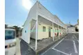 サンフラワーS