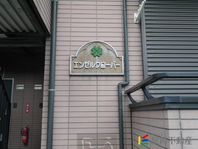 エンゼルクローバー