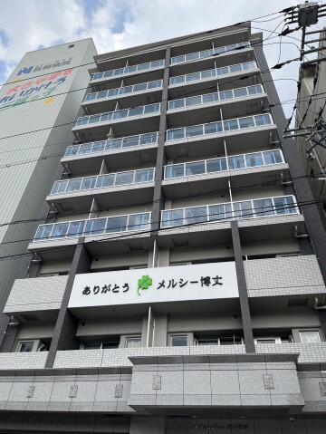 メルシー博丈
