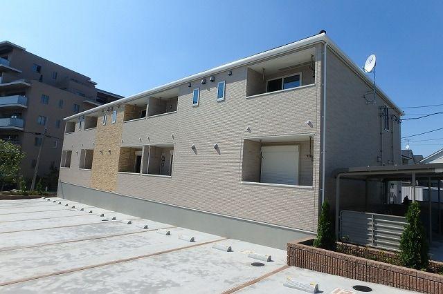 コスモス