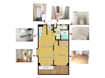 エバーグリーンかんぎII(1LDK/1階)の間取り写真