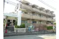 パーシモンズ峰