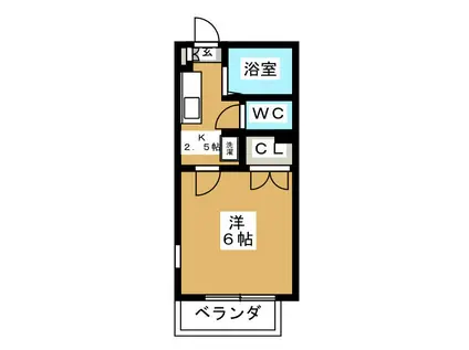 ミニマックスハイツ(1K/1階)の間取り写真