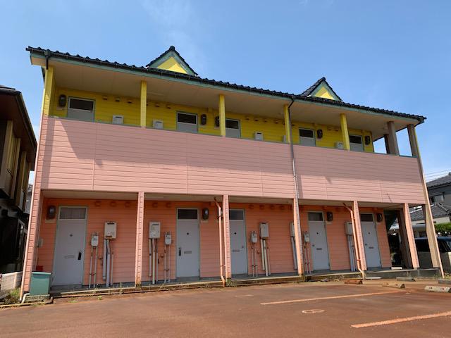 サンフラワー弥生