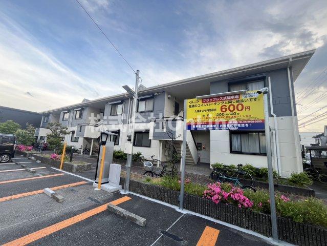 メゾンモチの木