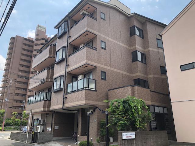 シェルマンド薩摩