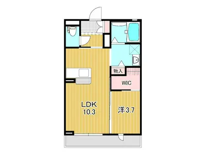 コンフォーザ(1LDK/1階)の間取り写真