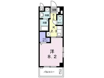 美ら てぃーだSII(1K/3階)の間取り写真